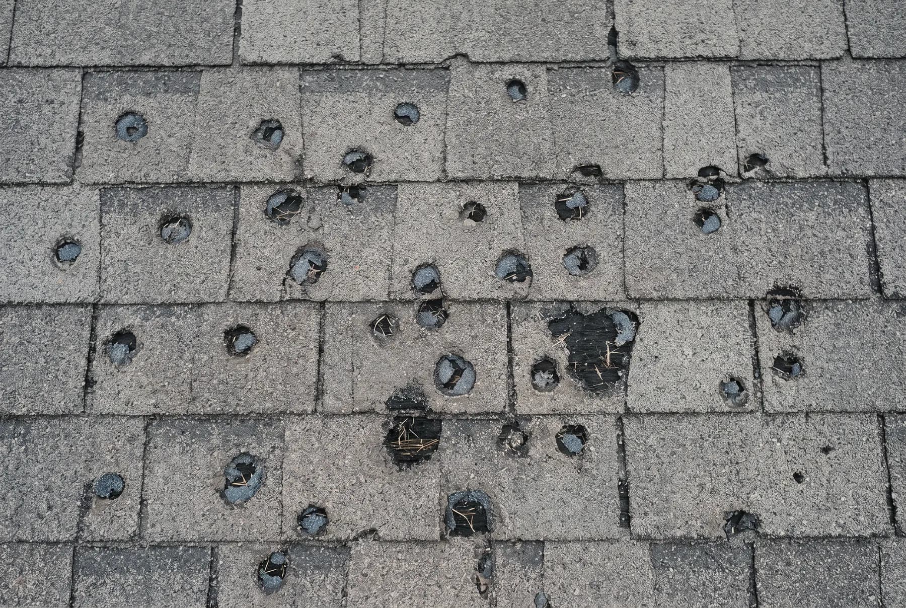 Hail impact marks on an asphalt shingle surface with granules knocked away.